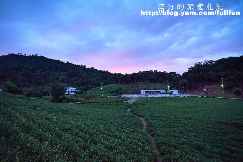 花蓮赤科山金針花》花蓮金針花海~赤科山/汪家古厝/千噸石龜~季節限定的美景!