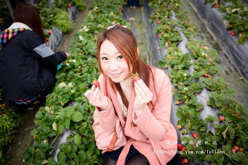 台北內湖景點|內湖採草莓趣.白石湖草莓園&莓圃休閒農園 ~草莓季開始囉!!!