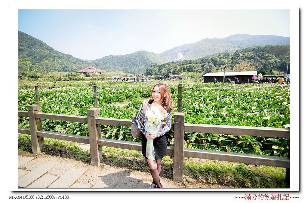 【台北。北投景點】陽明山竹子湖海芋季 / 陽明山花季 ~ 台北最美的後花園。戀戀花芋季